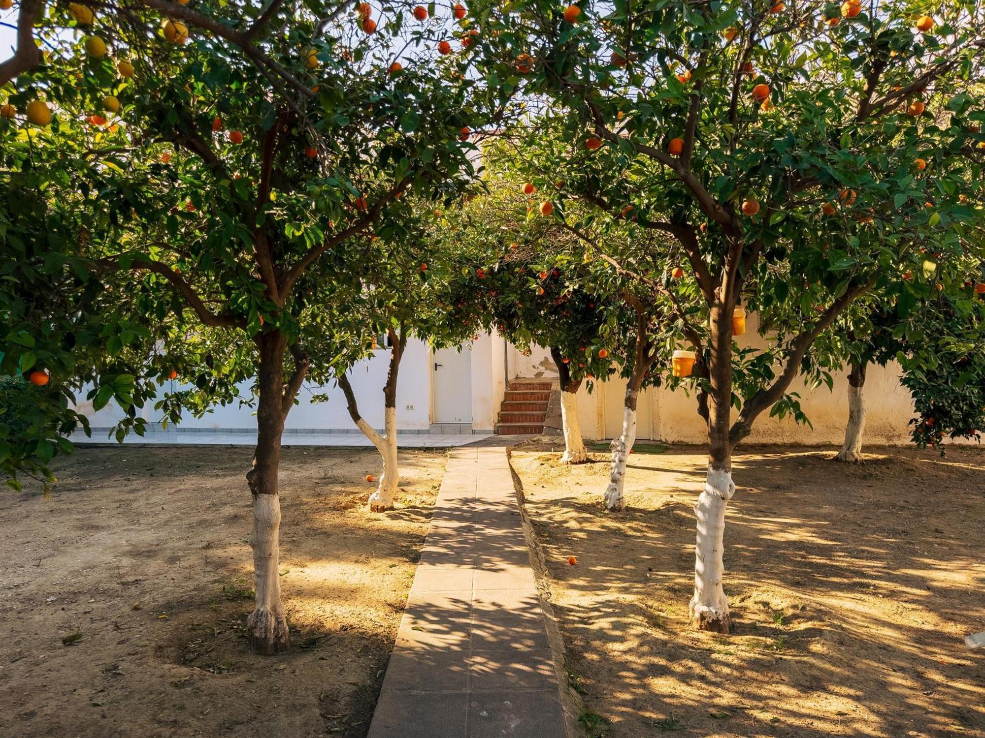 Charming Country House Torremolinos Buitenkant foto